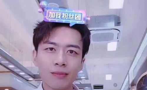 网红石头爆料视频大全最新,揭秘网络红人幕后真相